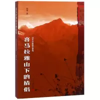 音像喜马拉雅山下的情侣(高平中短篇小说选)高平