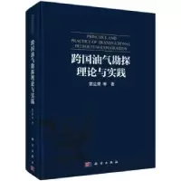 音像跨国油气勘探理论与实践窦立荣等著