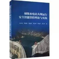 音像梯级水电站大坝运行安全智能管控理论与实践沈定斌[等]著