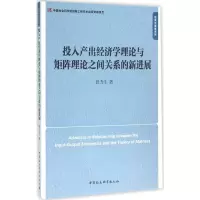 音像投入产出经济学理论与矩阵理论之间关系的新进展曾力生 著
