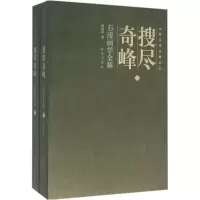 音像搜尽奇峰杨成寅 著