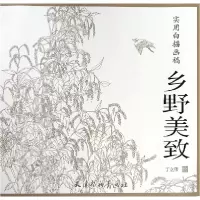音像乡野美致(实用白描画稿)绘画:丁立伟