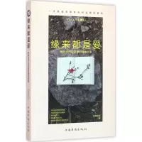 音像缘来都是爱亭后西栗 著