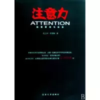 音像注意力:经营原理与实务吴之洪,荚莺敏著