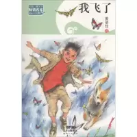 音像我飞了黄蓓佳 著