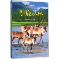 音像驯鹿丛林格日勒其木格·黑鹤 著