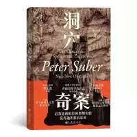 音像洞穴奇案(美)彼得·萨伯著