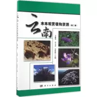 音像云南木本观赏植物资源王继华,关文灵,李世峰 主编