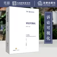 音像诉讼可视化蒋勇 主编