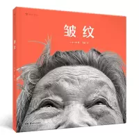 音像皱纹(精)(法)JR|责编:贺澧沙|译者:真真