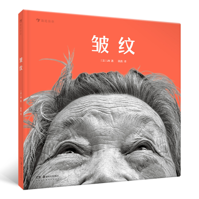 音像皱纹(精)(法)JR|责编:贺澧沙|译者:真真