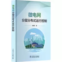 音像微电网分层分布式运行控制吴翔宇著
