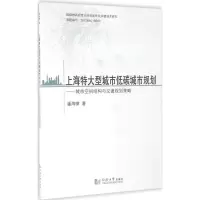 音像上海特大型城市低碳城市规划潘海啸 著