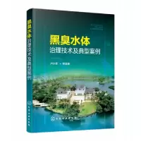 音像黑臭水体治理技术及典型案例卢少勇等编著