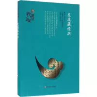 音像发现藏经洞罗华庆 著