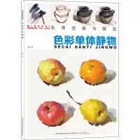音像色彩单体静物王磊