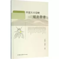 音像中国大兴安岭蛾类图谱王凤霞,卢旭弘 主编