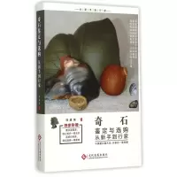 音像奇石鉴定与选购从新手到行家刘道荣