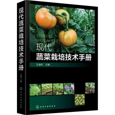 音像现代蔬菜栽培技术手册王迪轩主编