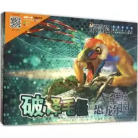 音像破译毛怪韩雨江,邢立达 著