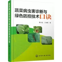音像蔬菜病虫害诊断与绿色防控技术口诀柴小佳,王本辉著