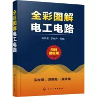 音像全彩图解电工电路乔长君,李东升等编