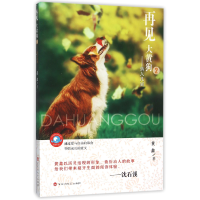 音像再见大黄狗(2落入凡间)/儿童成长文学系列黄鑫