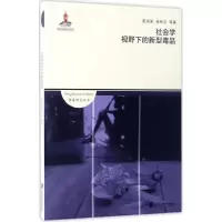 音像社会学视野下的新型夏国美,杨秀石等著