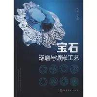 音像宝石琢磨与镶嵌工艺范泽 主编