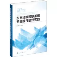 音像东方终端脱碳系统节能运行良好实践曾庆军主编