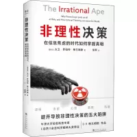 音像非理决策 在信息焦虑的时代如何掌握(爱尔兰)·罗特·兰姆斯