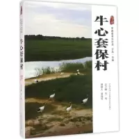 音像牛心套保村罗杨 主编