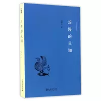 音像浪漫的灵知/诗学与美学研究丛书胡继华