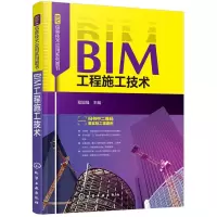 音像BIM工程施工技术程国强主编