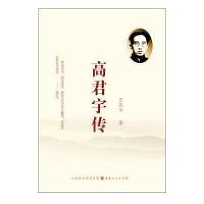 音像传王庆华著