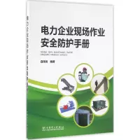 音像电力企业现场作业安全防护手册白泽光 编著