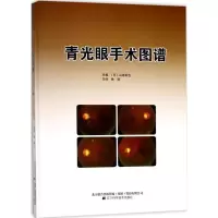 音像青光眼手术图谱(日)山本哲也主编