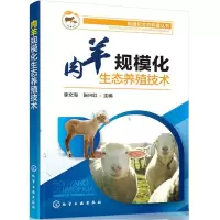 音像肉羊规模化生态养殖技术李文海,张兴红主编
