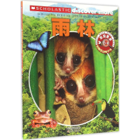 音像发现更多 6+ 雨林