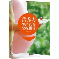 音像营养力王晓梅 主编