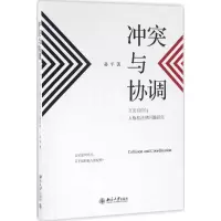 音像与协调孙平 著