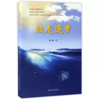 音像蛟龙逐梦陈新