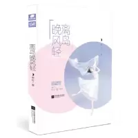 音像离岛晚风轻薇拉