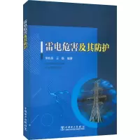音像雷电危害及其防护申积良,王稳 编