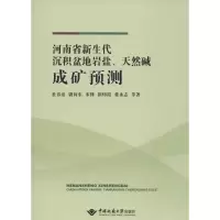 音像河南省新生代沉积盆地岩盐、天然碱成矿预测杜春彦 等 著
