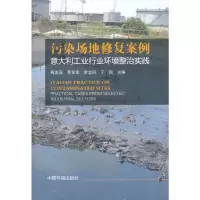 音像污染场地复案——意大利工业行业环境整治实践周友亚 等主编