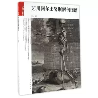 音像艺用阿尔比努斯解剖图谱编者:王方