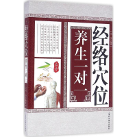 音像经络穴位养生一对一刘莹 编著