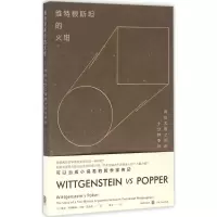 音像维特根斯坦的火钳