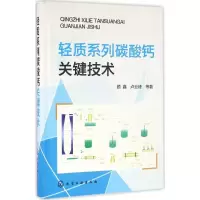 音像轻质系列碳酸钙关键技术颜鑫 等 著